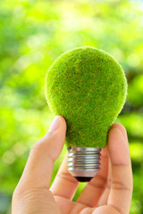 hand holding eco light bulb energy concept