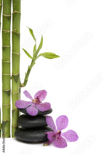 Tapeta ścienna Bambusowy gaj i gałąź orchidea na otoczaku