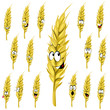 wheat ear cartoon
