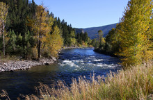 River Flowing Through Yellowstone National Park