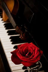 Wall Mural - piano keyboard and rose