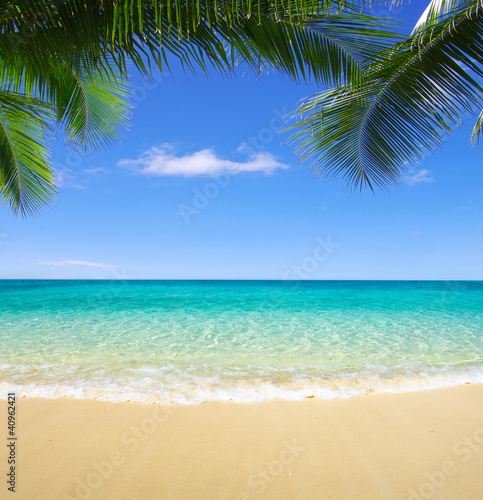 Naklejka na kafelki beach and tropical sea