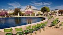 Tuileries In Spring