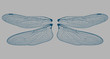 Vector Dragonfly Wings