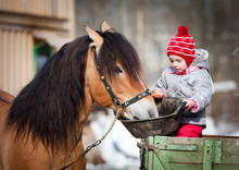 Child Feeding A Horse, Sitting On A Cart In The Winter