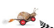 Speedy snail like car racer. Concept of speed and success