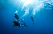 scuba divers accend from a dive