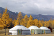 Ger camp at Khovsgol Lake , Northern Mongolia