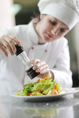 Wall Mural - chef preparing meal