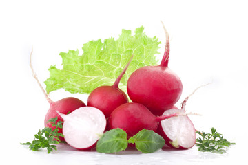 Poster - Composition of radish, with parsley, basil and lettuce