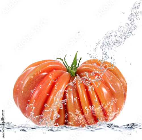 Tapeta ścienna Plusk pomodoro