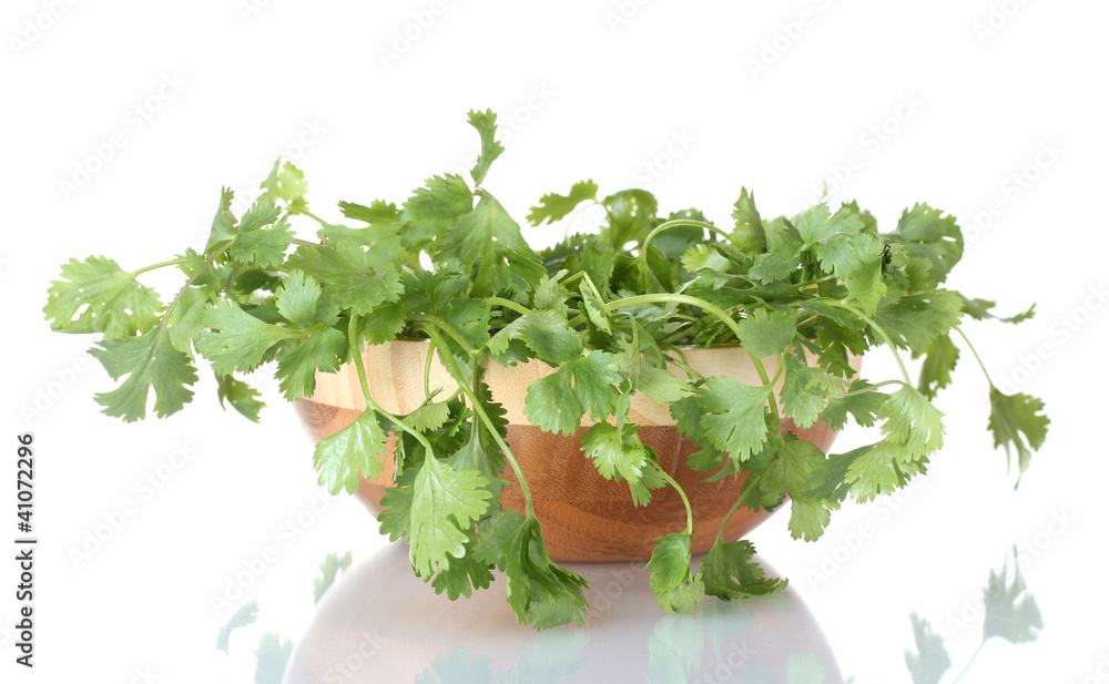 coriander in a wooden bowl isolated on white