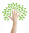 Hand as a tree with green leaves concept, clipping path