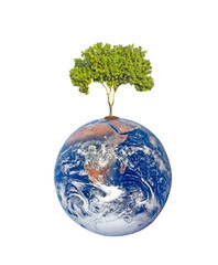 Wall Mural - Planet earth as symbol of nature conservation.Elements of this i