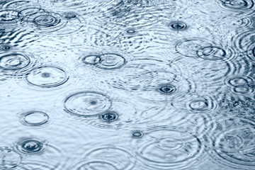 raindrops