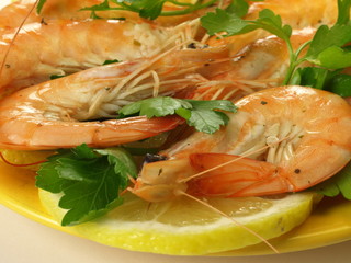 Wall Mural - Whole shrimps with parsley, closeup