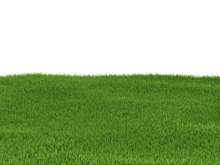 Green grass background 3d render