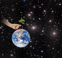 Wall Mural - Tree on Earth as a symbol of conservation.Elements of this image