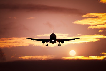 Wall Mural - plane in the sunset sky