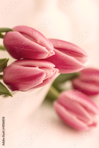 Obraz w ramie Still Life with Pink Tulips in a Bowl