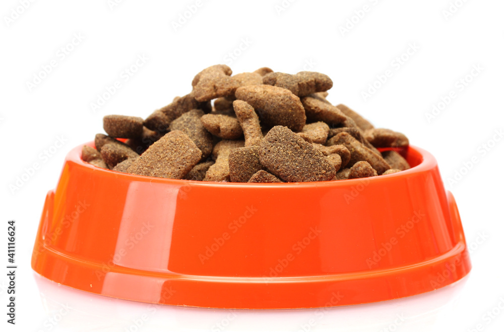 dry dog food in orange bowl  isolated on white