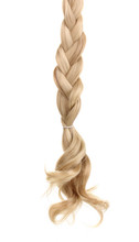 Blond Hair Braided In Pigtail Isolated On White