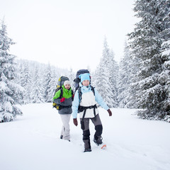 Wall Mural - hiker in the winter forest