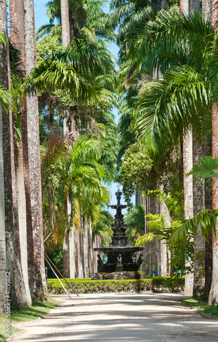 Naklejka na szafę English fountain, palm alley. Botanical garden. Rio de Janeiro