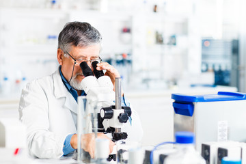 Wall Mural - senior male researcher carrying out scientific research in a lab