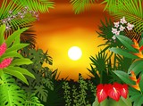 Fototapeta Pokój dzieciecy - Tropical plant background