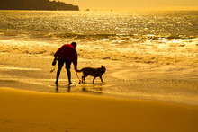 Silhouette Of Man With Dog On Beach
