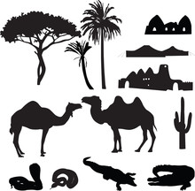 Silhouettes Of African Desert
