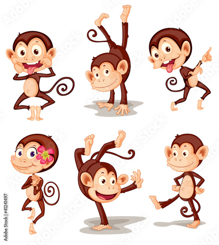 Naklejka dekoracyjna Monkey series