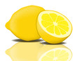 Zitrone Vektor