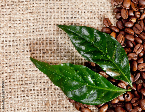 Naklejka nad blat kuchenny Fresh coffee beans and leaves on hessian
