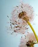 160_f_41250486_hbbwvjckfimnlzy4uglrzw0xnjnefhqm