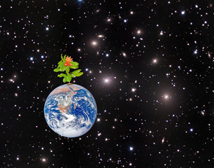 Wall Mural - Planet earth as symbol of nature conservation.Elements of this i