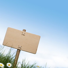 Wall Mural - blank wooden sign, grass and daisies flowers