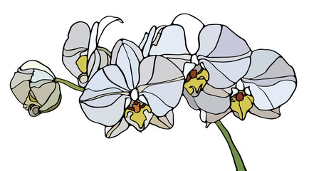Aufkleber - Orchid stained glass