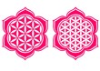 Blume des Lebens - Lotus Blüte - Schutz Symbol