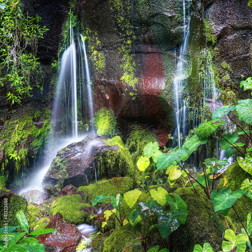 Naklejka na kafelki Résurgences eau de source.