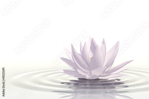 Fototapeta do kuchni Floating waterlily