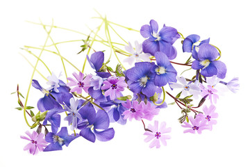 Leinwandbilder - Spring flower arrangement