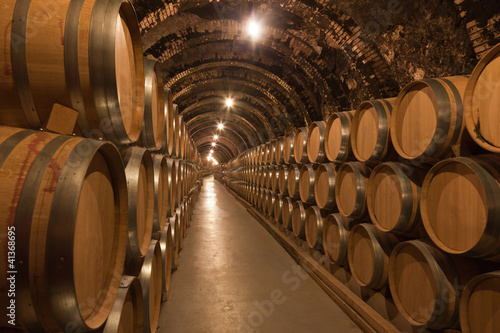 Fototapeta do kuchni Barriles de vino en la bodega