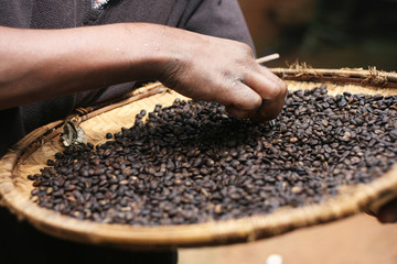 close up of coffee beans