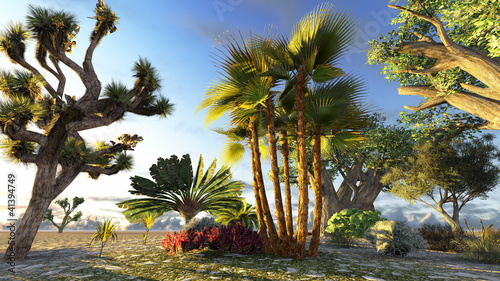 Board z aluminiowym obramowaniem Drzewo podróżnika (ravenala madagascariensis)