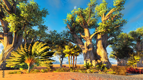 Plakat na papierze fotorealistycznym Drzewo podróżnika (ravenala madagascariensis)