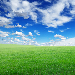 Wall Mural - green field and sky