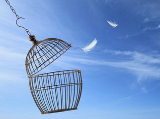 freedom concept. escaping from the cage.