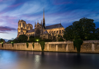 Wall Mural - Notre Dame de Paris, France